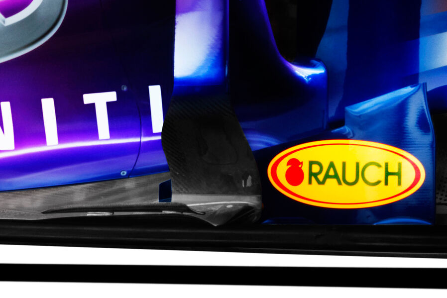 Red-Bull-RB9-Detail-2013-19-fotoshowImageNew-c6ff95b-658575.jpg